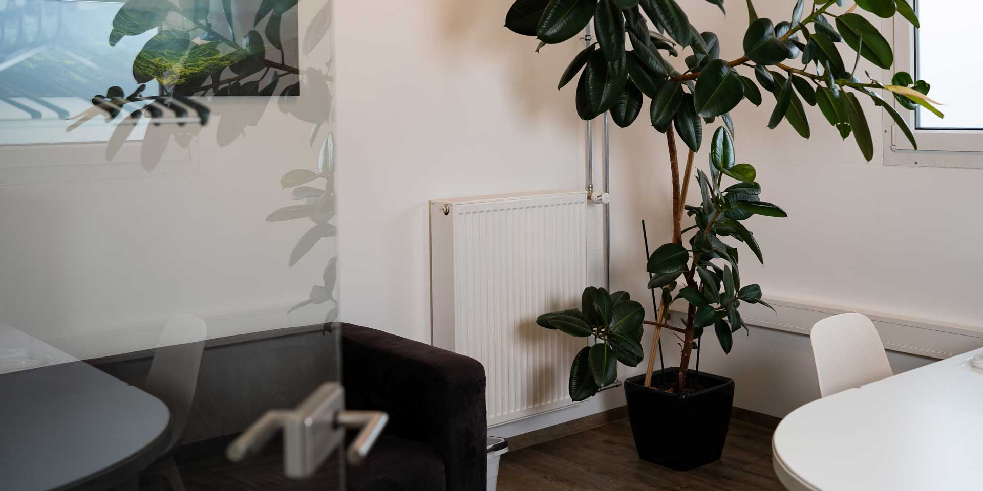 Mein Therapiepunkt, Adelsdorf